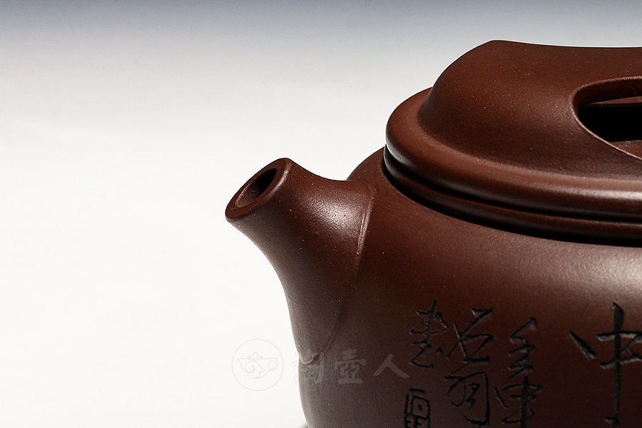 子牛