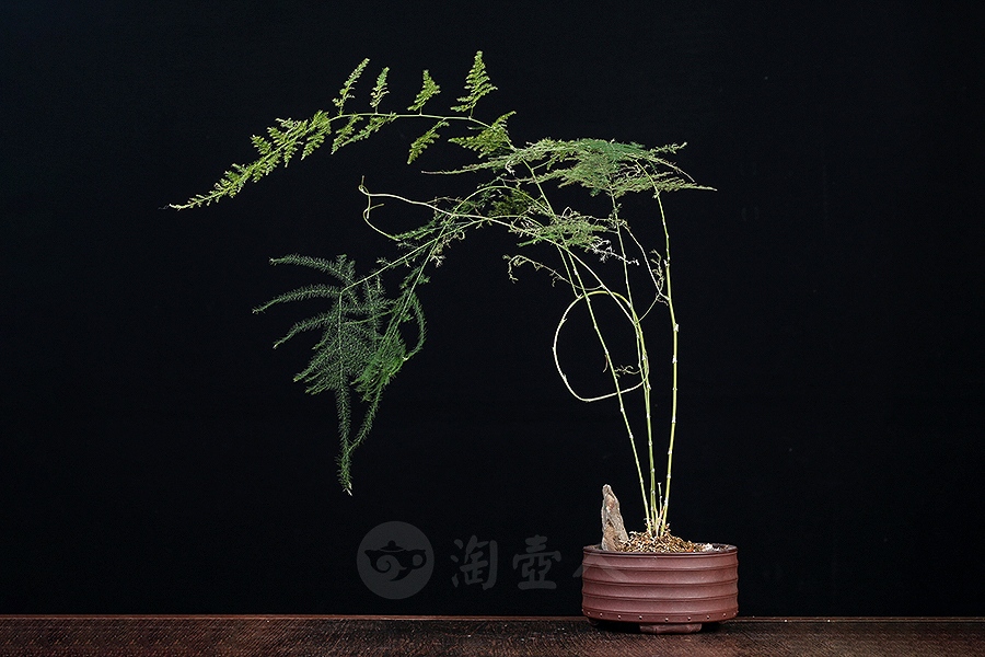 圆竹节三足花盆