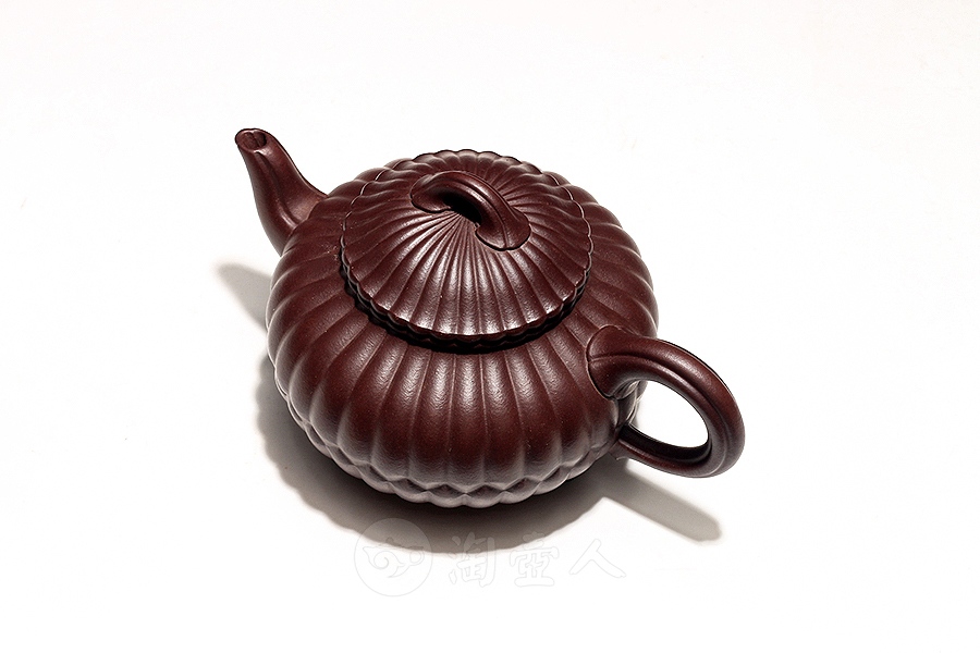 三丁合菊