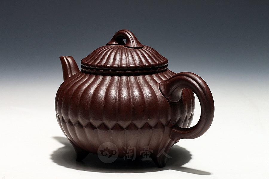 三丁合菊