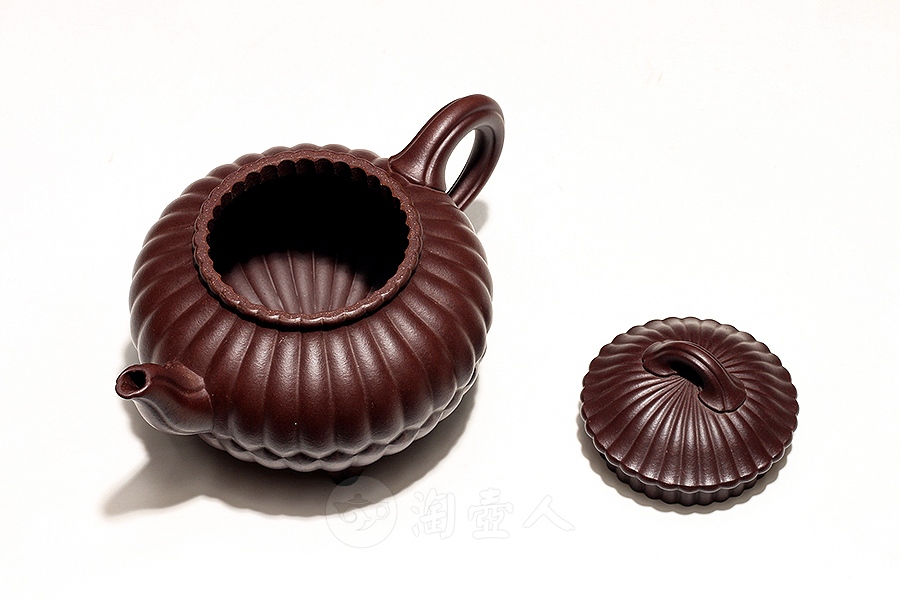 三丁合菊