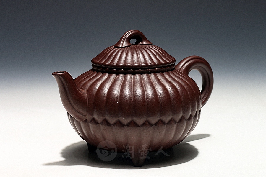 三丁合菊