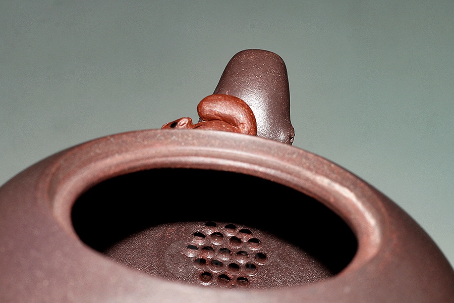 松鼠葡萄