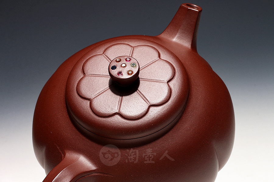 菊蕾