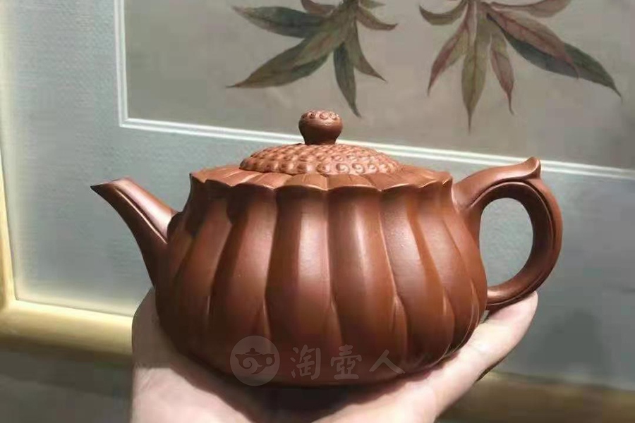 菊蕾