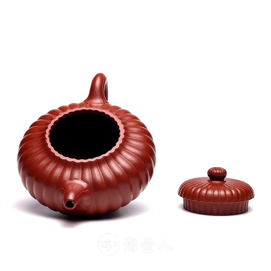 三十二瓣菊