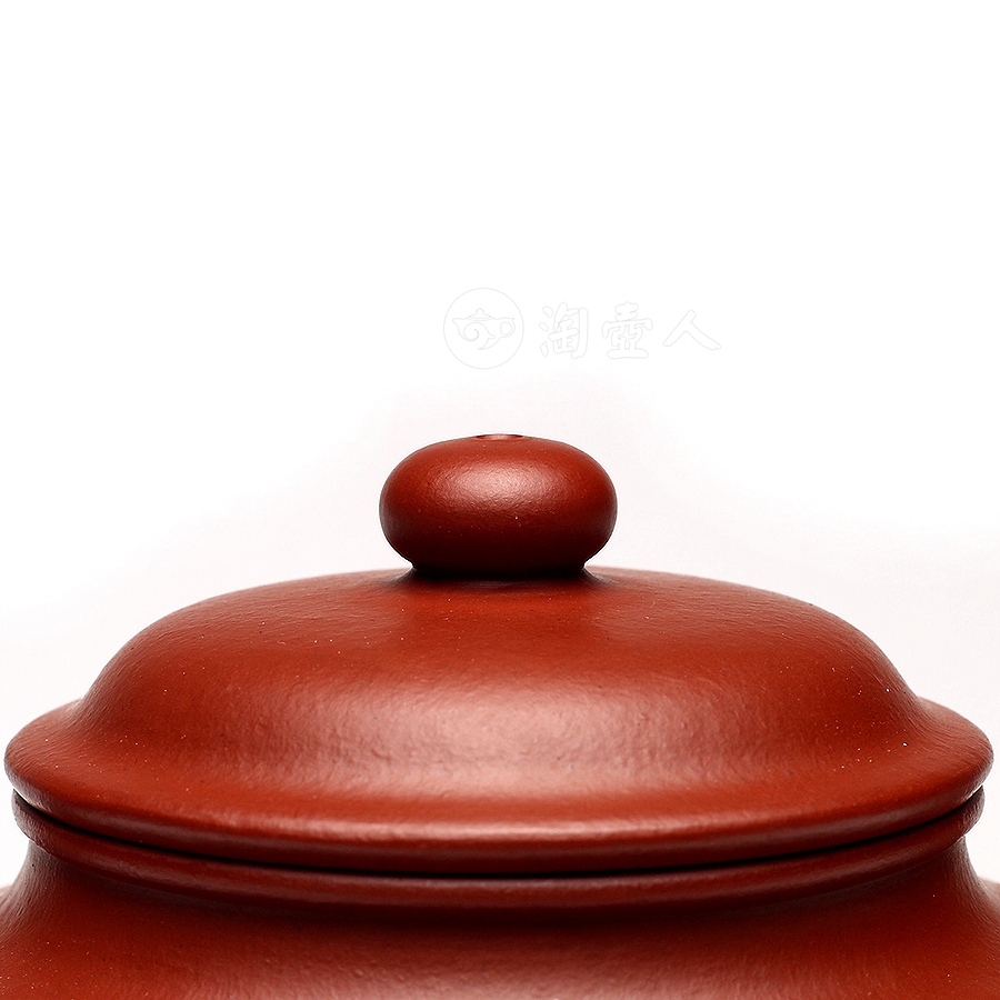 掇只