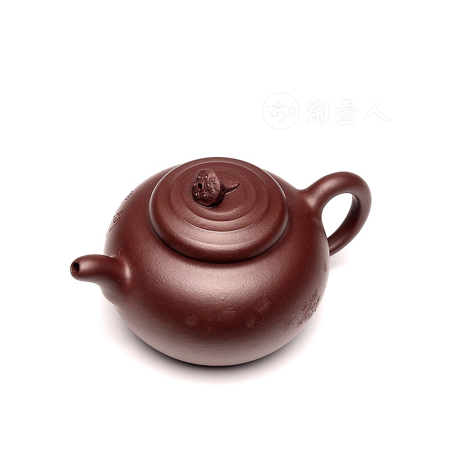 荷趣
