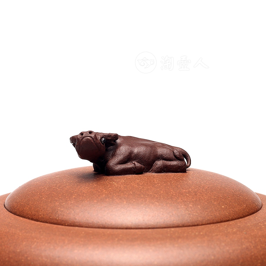 全手卧牛