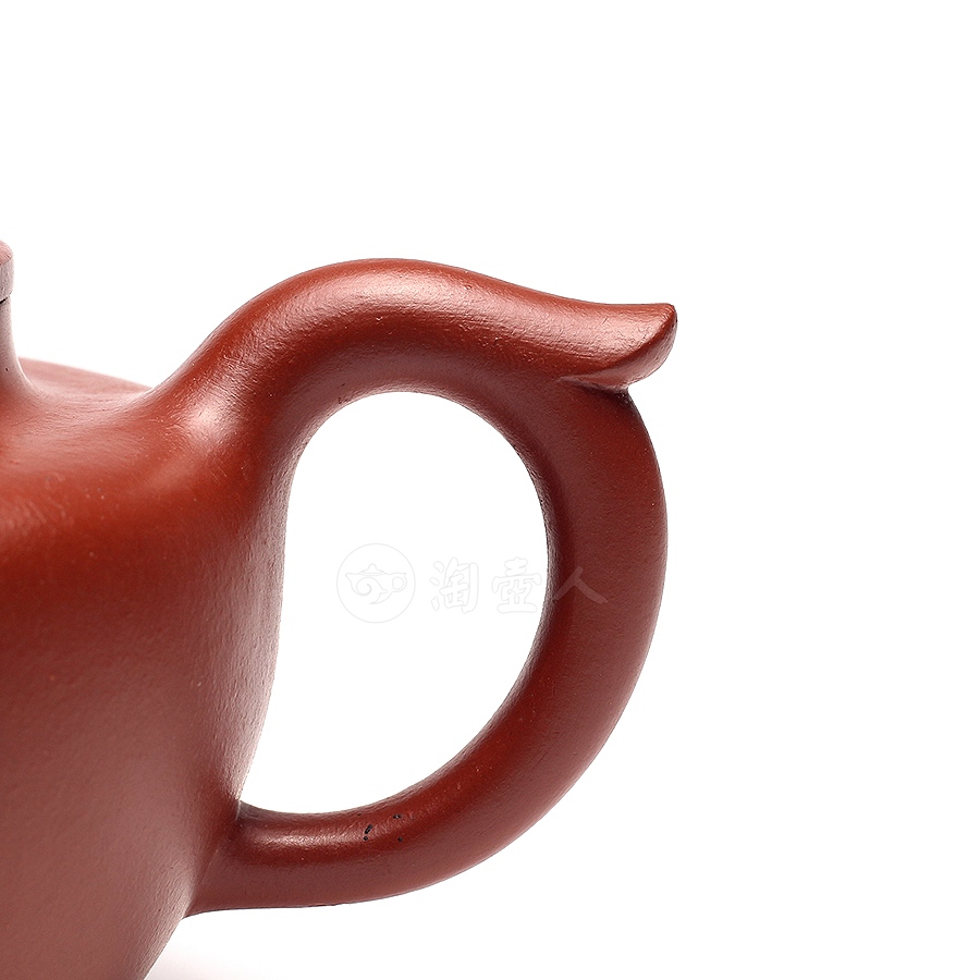 菱莲