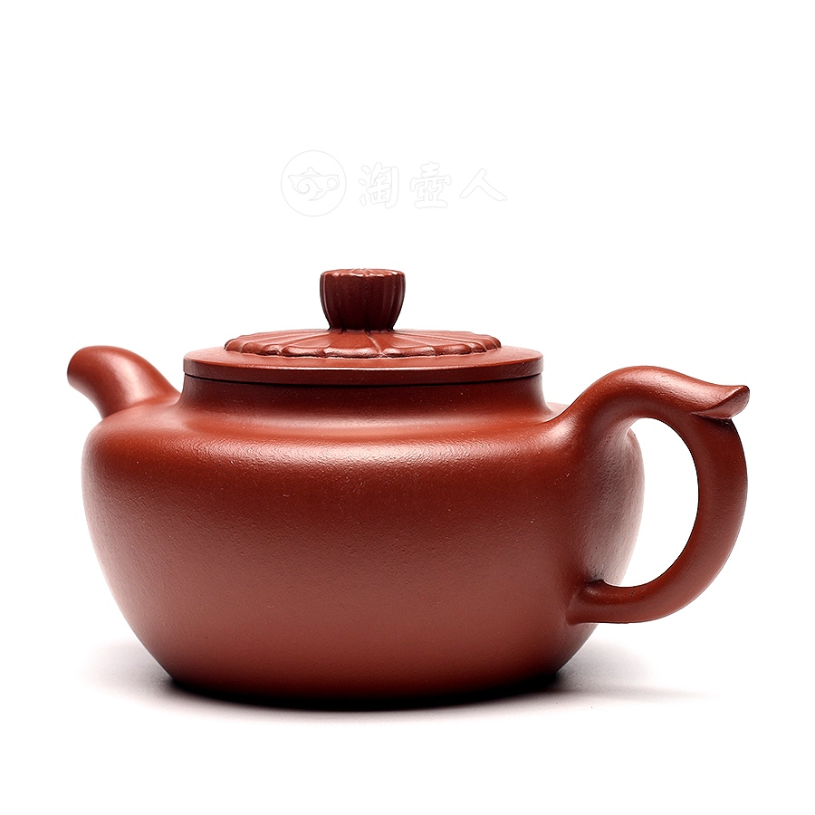 菱莲