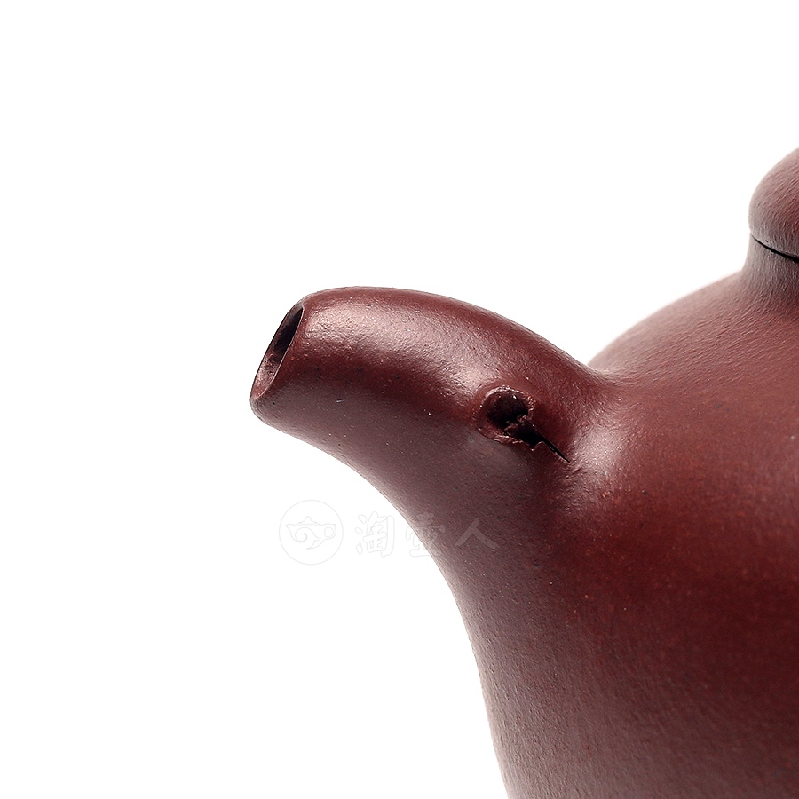富贵牡丹