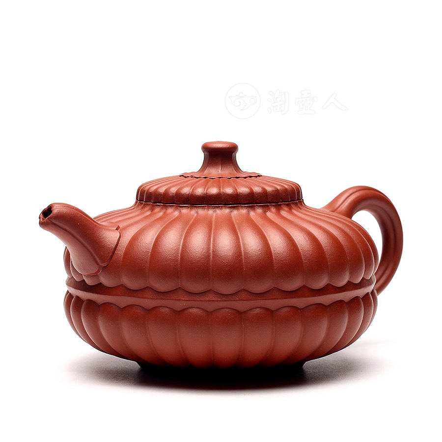 大合菊