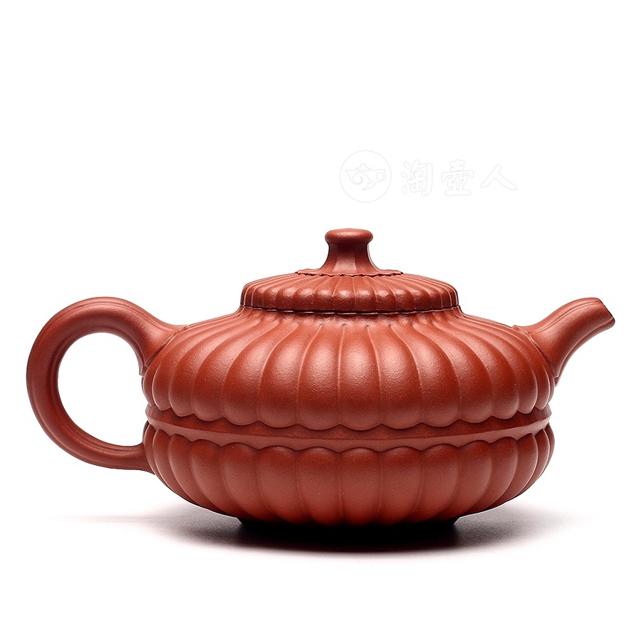 大合菊