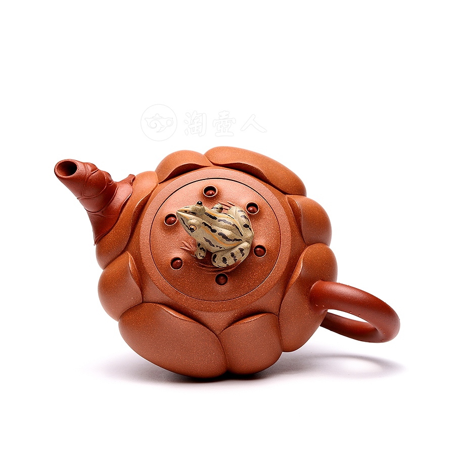 青蛙莲花