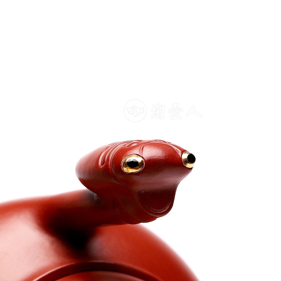 茁壮成长