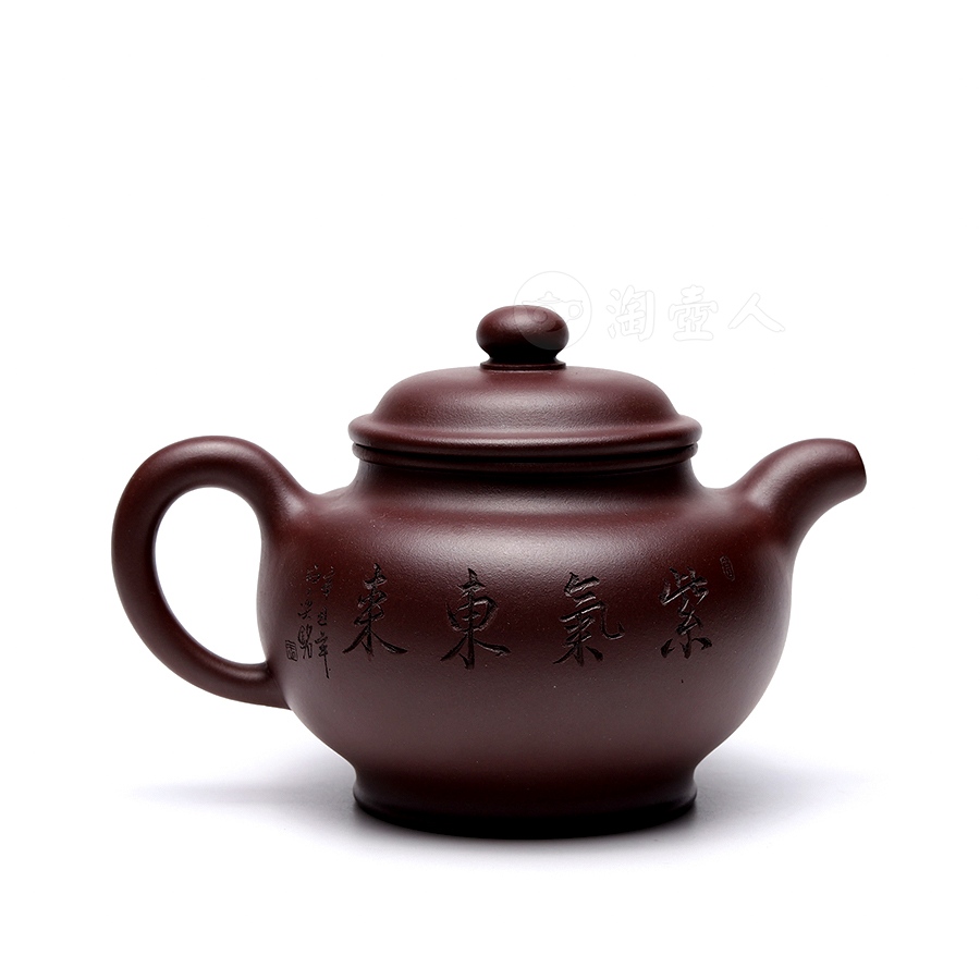 掇只