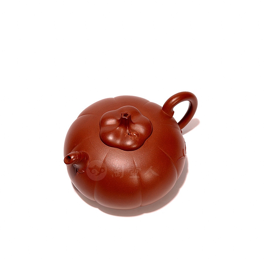 小南瓜(薄胎)