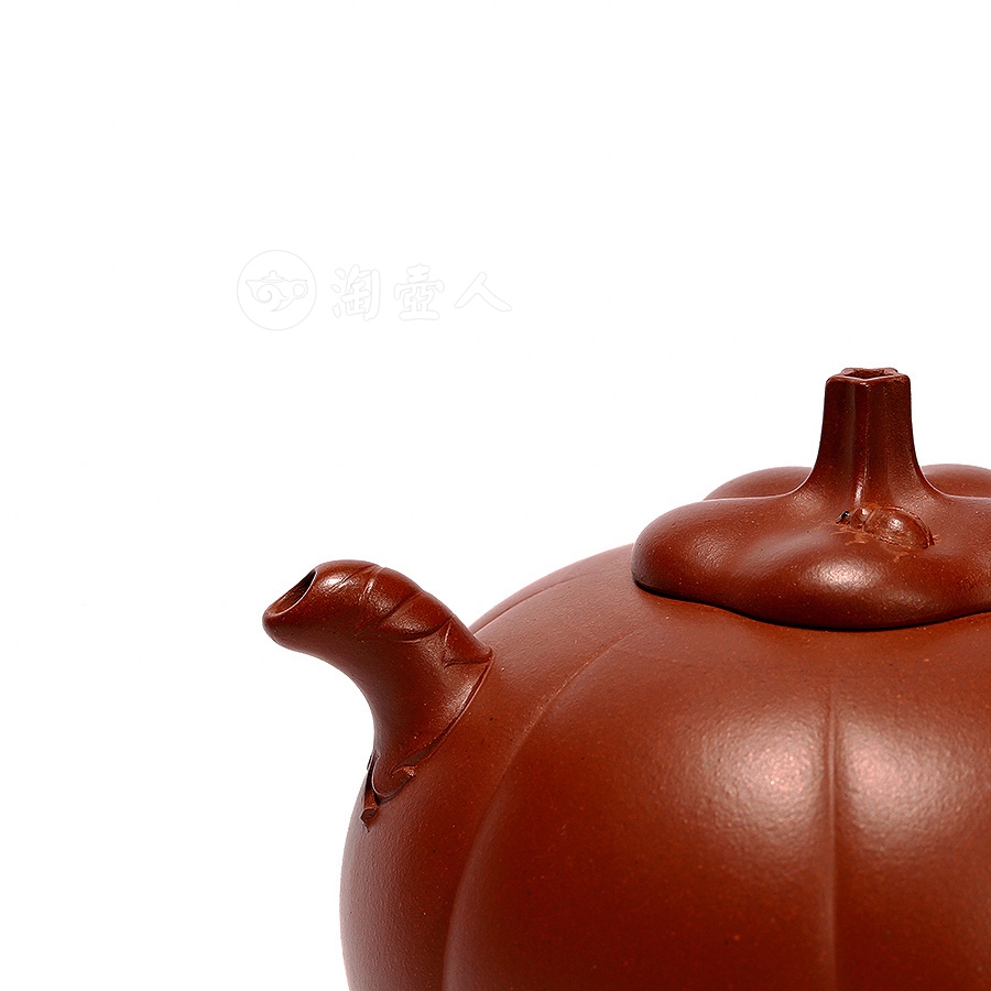 小南瓜(薄胎)