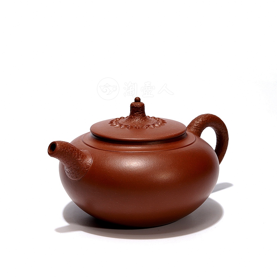 春蕾
