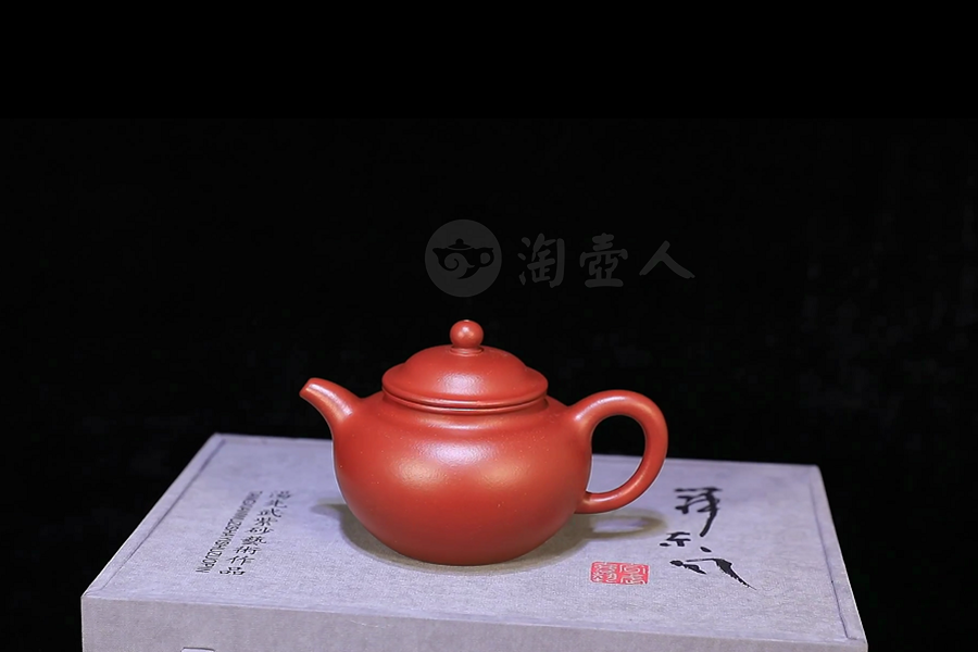 掇只