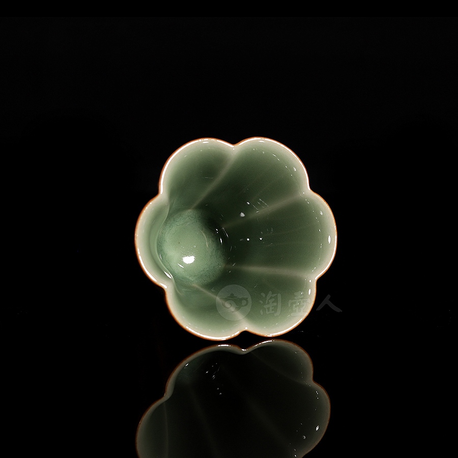 芳华青纱主人杯