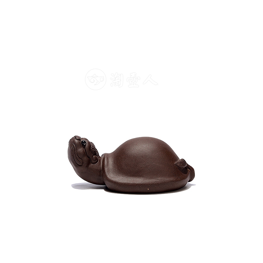 龟茶宠