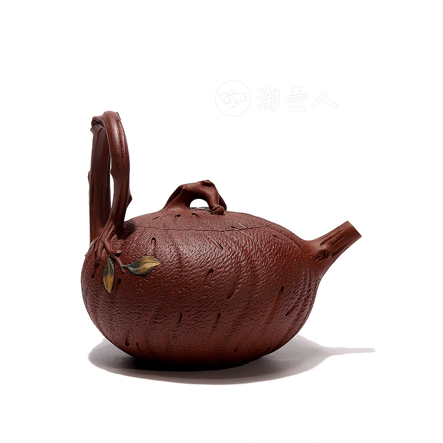 全手脱颖提梁