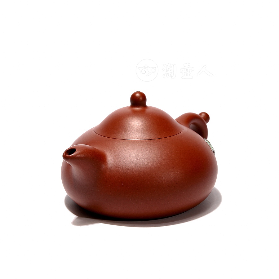 双波玉蝉