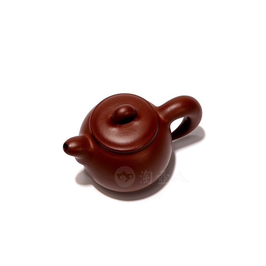 陶莹
