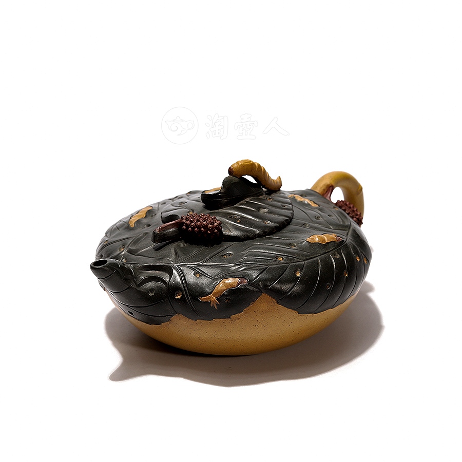 桑宝