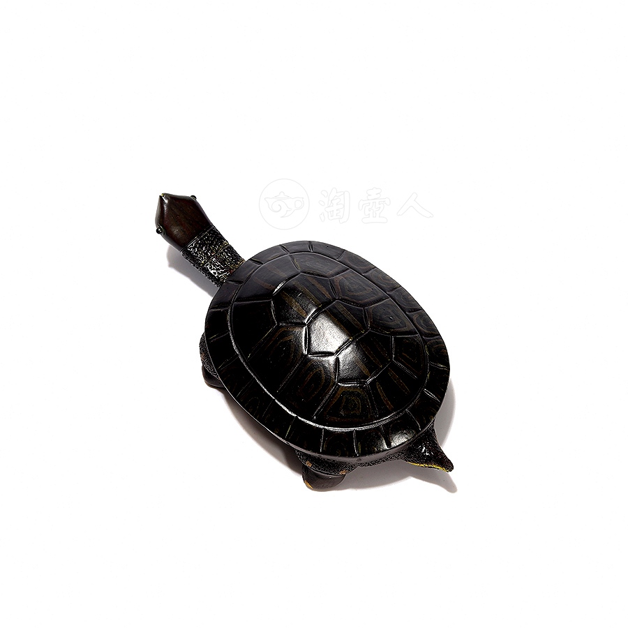 龟茶宠