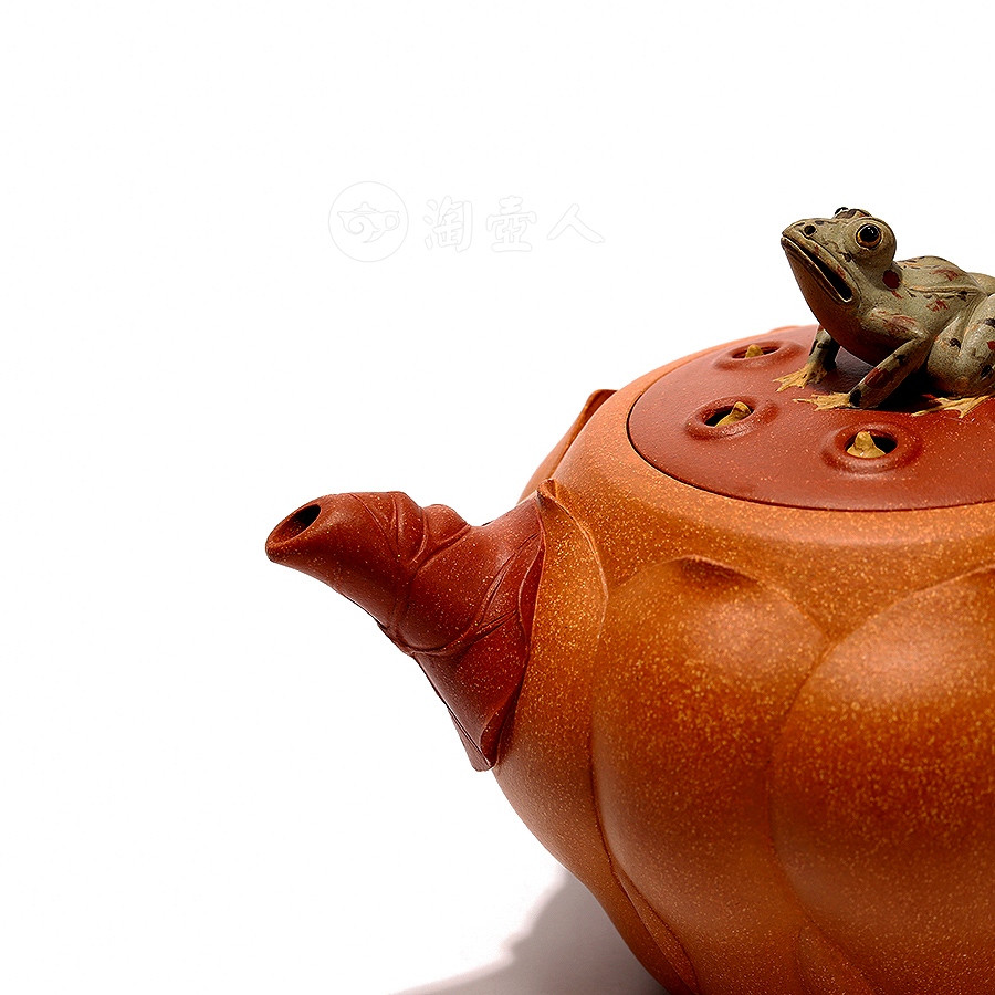 荷叶青蛙十头套组