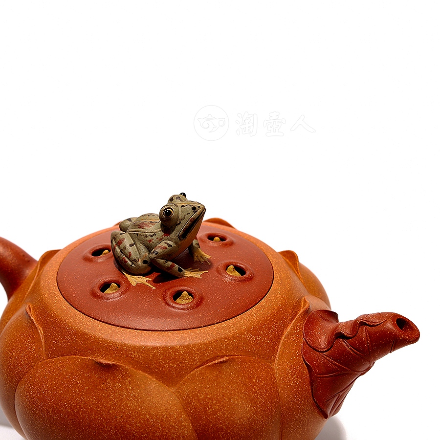 荷叶青蛙十头套组