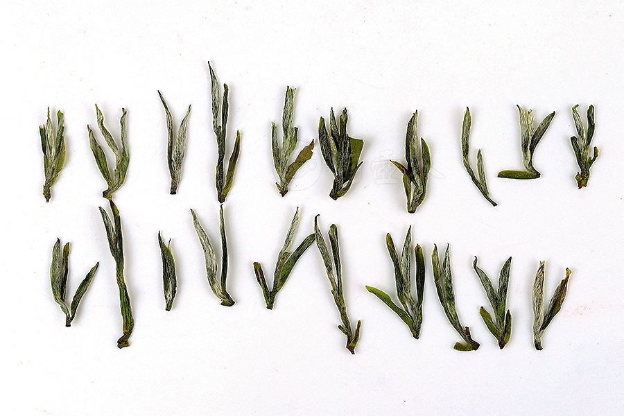 一盏清·宜兴茶阳羡雪芽