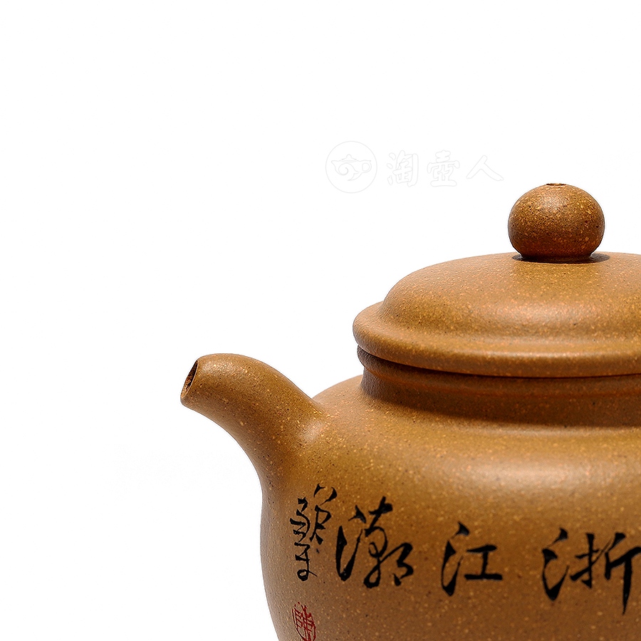 掇只
