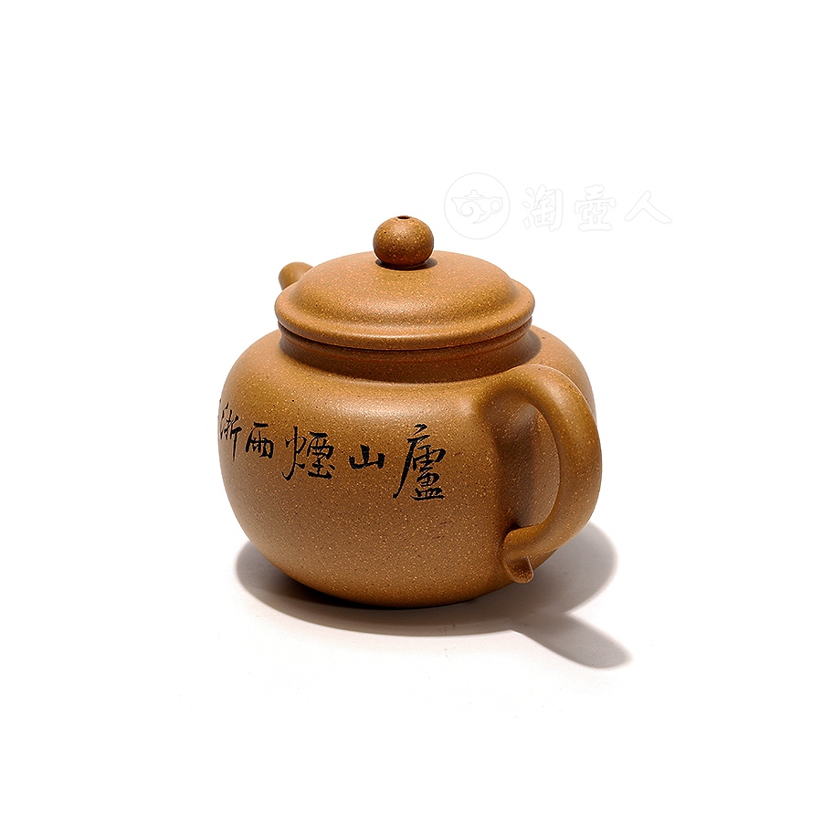掇只