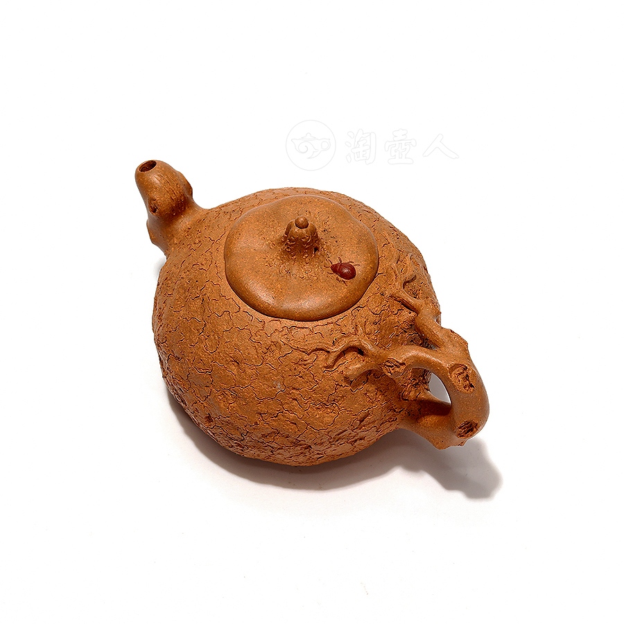 全手生机壶