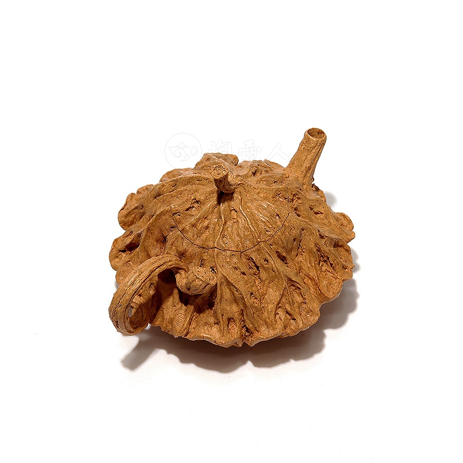 全手尘外壶(薄胎