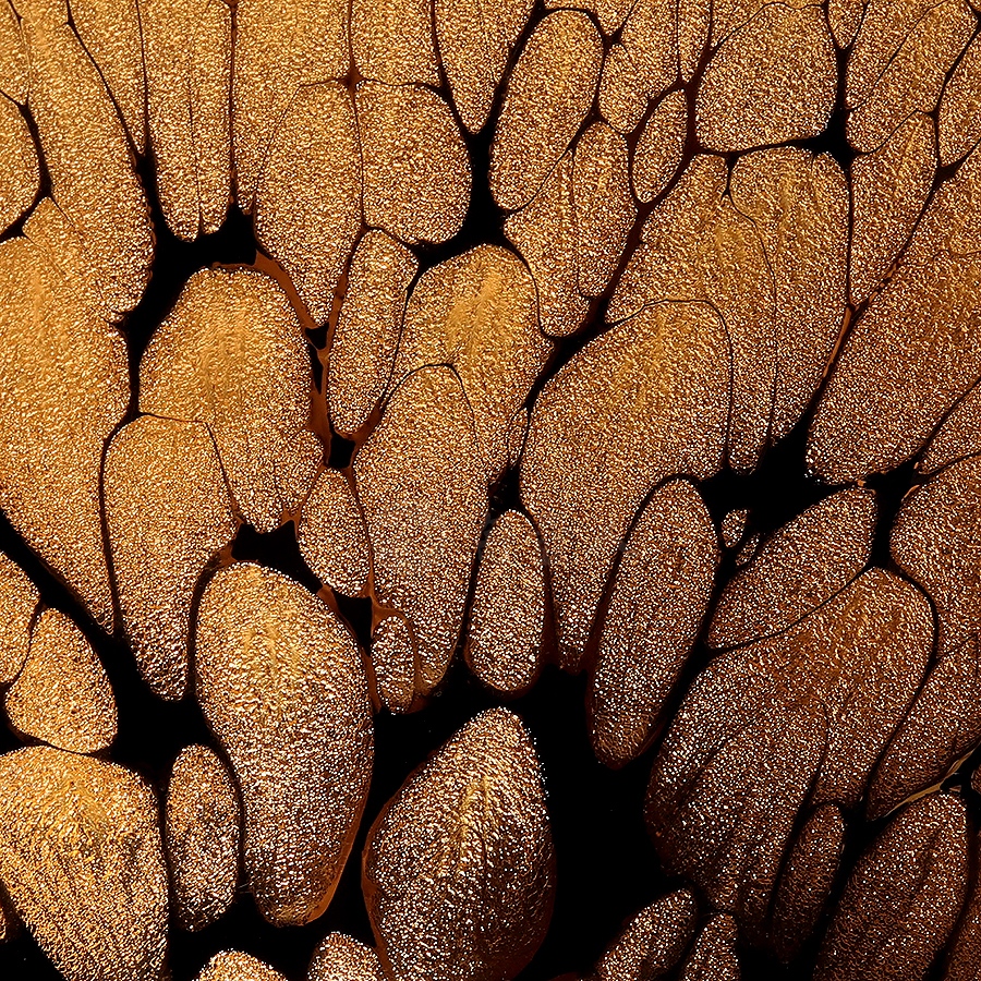 撇口油滴盏(大)