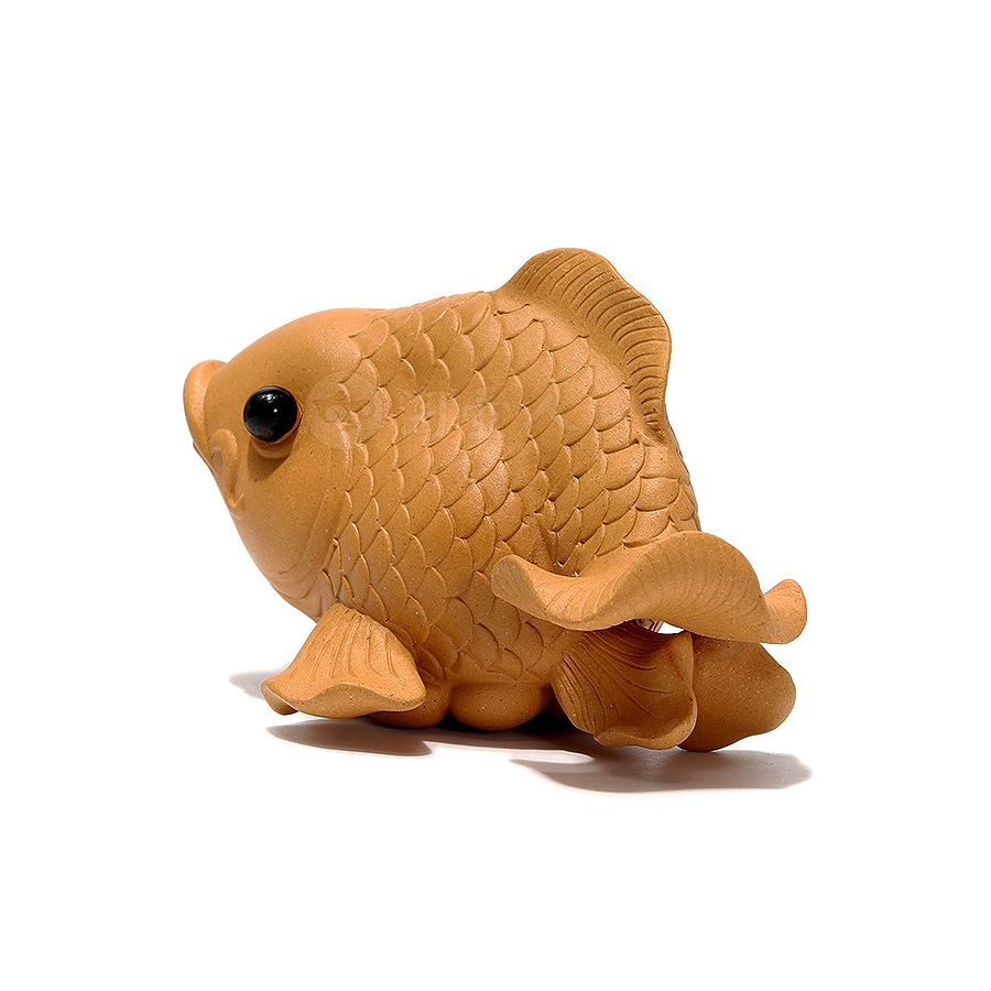 金鱼茶宠