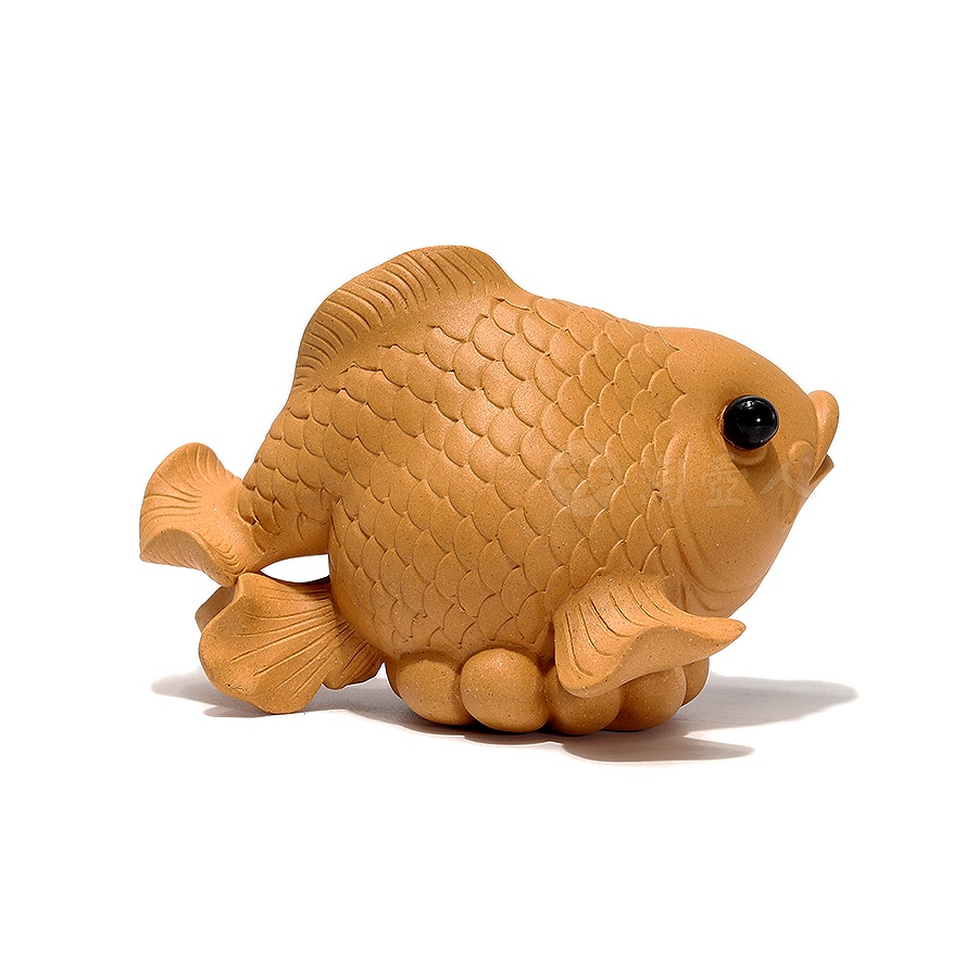 金鱼茶宠