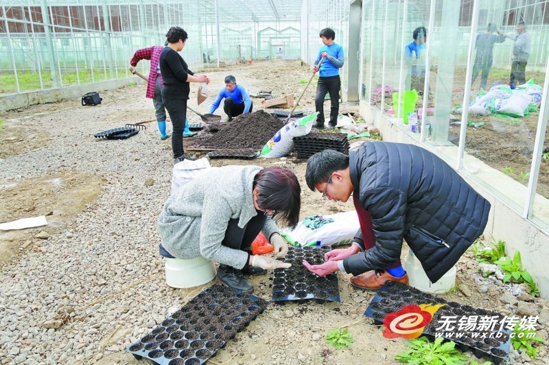宜兴最大智能温室投用