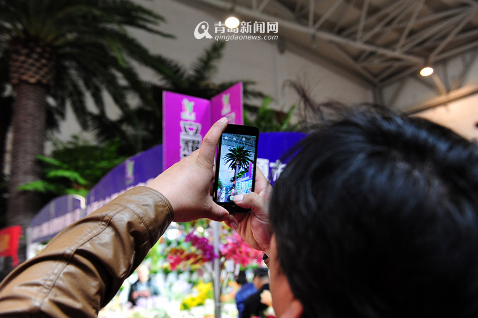 高清:仿真植物汇聚青岛会展中心变热带雨林