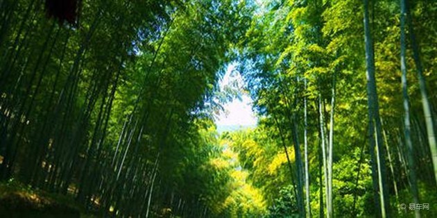 利星行大无锡区E级车宜兴竹海试驾会招募
