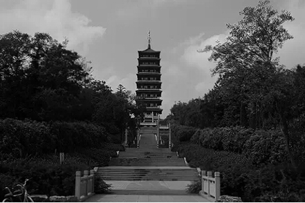 宜兴心痛了