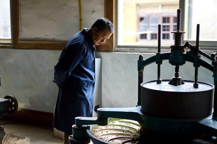 茶香三月,宜兴阳羡茶农开采明前茶