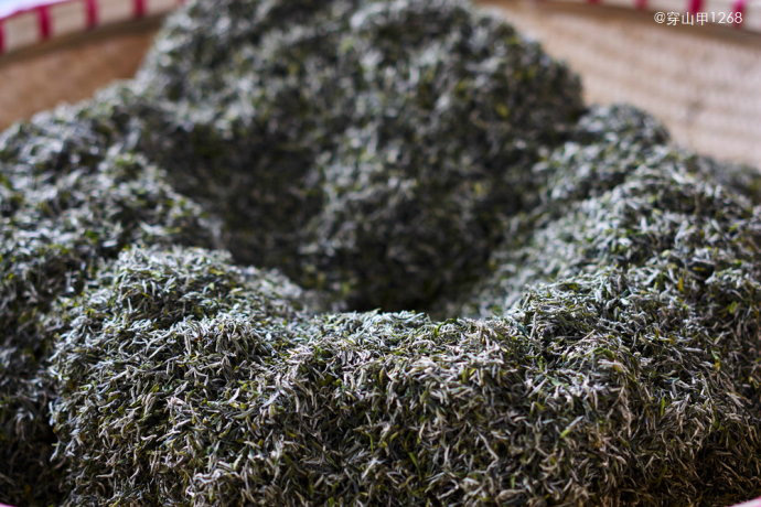 茶香三月,宜兴阳羡茶农开采明前茶