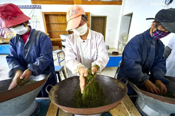 茶香三月,宜兴阳羡茶农开采明前茶