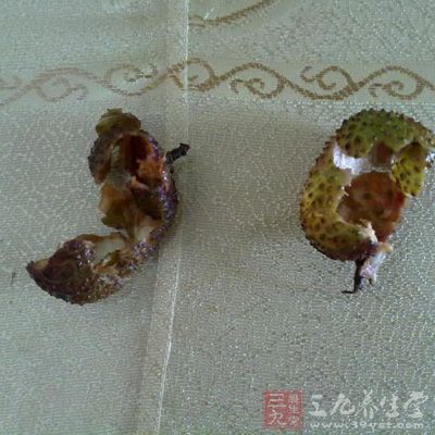 紫砂壶怎样开壶开壶方法及水温如何控制